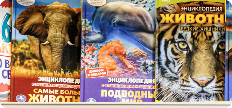 Книги 1
